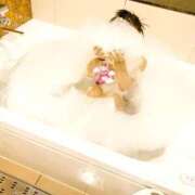 ヒメ日記 2025/04/22 16:13 投稿 すみれ　40分6400円 回春性感メンズエステ猫の手 尾張一宮