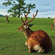 ヒメ日記 2025/06/06 20:07 投稿 あゆ 恋のうた