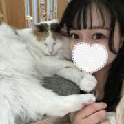 ヒメ日記 2025/08/04 19:09 投稿 いちご【ミニマム激カワ美少女】 STELLA TOKYO－ステラトウキョウ－