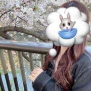 ヒメ日記 2025/04/11 10:30 投稿 まいな 錦糸町人妻セレブリティ（ユメオト）