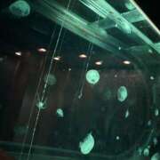 ヒメ日記 2025/10/15 20:13 投稿 まいな 錦糸町人妻セレブリティ（ユメオト）