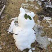 まいな ぬくぬく 錦糸町人妻セレブリティ（ユメオト）