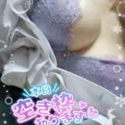 ヒメ日記 2025/12/16 21:21 投稿 赤間りんか 紫苑-shion-