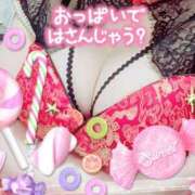 ヒメ日記 2026/02/24 19:11 投稿 赤間りんか 紫苑-shion-