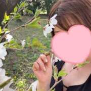 ヒメ日記 2025/04/10 16:48 投稿 小倉 モアグループ大宮人妻花壇