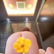 ヒメ日記 2025/07/25 08:36 投稿 小倉 モアグループ大宮人妻花壇