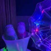 ヒメ日記 2026/02/06 17:23 投稿 みれい MINT（ミント）