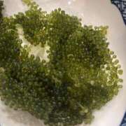 ヒメ日記 2025/04/06 13:34 投稿 らむ JAPAN CLUB BUNNY LOUNGE