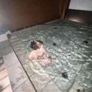 ヒメ日記 2025/10/04 17:56 投稿 らむ JAPAN CLUB BUNNY LOUNGE