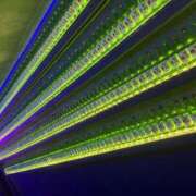 ヒメ日記 2026/02/01 20:03 投稿 らむ JAPAN CLUB BUNNY LOUNGE