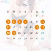 ヒメ日記 2025/04/21 16:04 投稿 るか JAPAN CLUB BUNNY LOUNGE