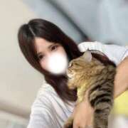 ヒメ日記 2025/09/16 21:51 投稿 るか JAPAN CLUB BUNNY LOUNGE