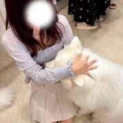 ヒメ日記 2025/09/20 19:21 投稿 るか JAPAN CLUB BUNNY LOUNGE