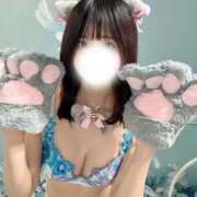 ヒメ日記 2025/10/22 16:01 投稿 るか JAPAN CLUB BUNNY LOUNGE