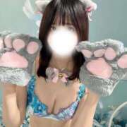 ヒメ日記 2025/10/31 09:01 投稿 るか JAPAN CLUB BUNNY LOUNGE