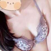 ヒメ日記 2026/03/19 15:37 投稿 かりん JAPAN CLUB BUNNY LOUNGE