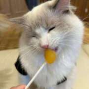 ヒメ日記 2026/04/13 14:48 投稿 かりん JAPAN CLUB BUNNY LOUNGE