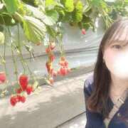 ヒメ日記 2026/04/29 08:33 投稿 かりん JAPAN CLUB BUNNY LOUNGE