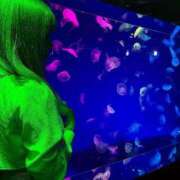 ヒメ日記 2025/09/16 06:07 投稿 はる JAPAN CLUB BUNNY LOUNGE