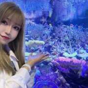 ヒメ日記 2025/09/17 12:50 投稿 はる JAPAN CLUB BUNNY LOUNGE