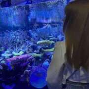 ヒメ日記 2025/10/12 14:57 投稿 はる JAPAN CLUB BUNNY LOUNGE