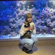 ヒメ日記 2025/10/20 06:28 投稿 はる JAPAN CLUB BUNNY LOUNGE