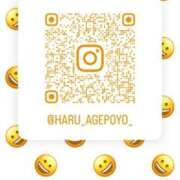 はる インスタで息します JAPAN CLUB BUNNY LOUNGE