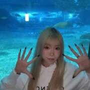 ヒメ日記 2026/01/31 15:39 投稿 はる JAPAN CLUB BUNNY LOUNGE