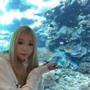 ヒメ日記 2026/02/10 07:49 投稿 はる JAPAN CLUB BUNNY LOUNGE