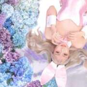 ヒメ日記 2026/04/27 10:01 投稿 はる JAPAN CLUB BUNNY LOUNGE