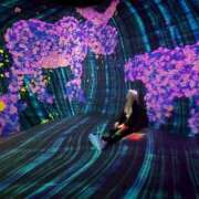 ヒメ日記 2026/08/17 06:16 投稿 はる JAPAN CLUB BUNNY LOUNGE