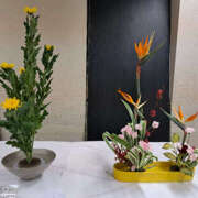 ヒメ日記 2025/11/02 14:30 投稿 ももか セクシーパラダイス3