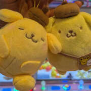 ヒメ日記 2025/09/07 23:37 投稿 めろん ハピネス東京