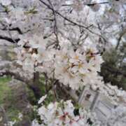 ヒメ日記 2025/04/08 13:20 投稿 ちかげ 熟女の風俗最終章 蒲田店