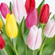 ヒメ日記 2025/06/13 11:48 投稿 トワ キャンディ(鹿児島)