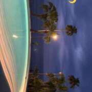 ヒメ日記 2025/08/14 15:36 投稿 トワ キャンディ(鹿児島)