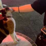 ヒメ日記 2025/07/19 17:02 投稿 まお club Ego