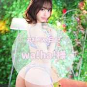 みれい 🩰 ついつい目が奪われてしまう… the SPA KADOEBI