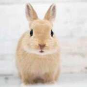 ヒメ日記 2025/10/18 16:19 投稿 かおり One More 奥様　錦糸町店