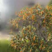 ヒメ日記 2025/11/14 18:33 投稿 ☆みなみ☆ 学校帰りの妹に手コキしてもらった件 谷九