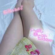 ヒメ日記 2026/02/03 16:12 投稿 朝宮みよ 浜松ニューハーフヘルスプラチナム