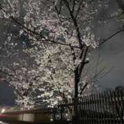 ヒメ日記 2025/04/03 23:23 投稿 ここ タレントCLUB