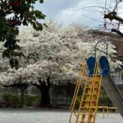 ヒメ日記 2025/04/07 13:41 投稿 ここ タレントCLUB