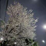 ヒメ日記 2025/04/10 15:39 投稿 ここ タレントCLUB