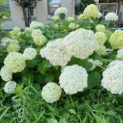 ヒメ日記 2025/06/21 15:12 投稿 ここ タレントCLUB