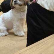 ヒメ日記 2025/12/25 16:20 投稿 ここ タレントCLUB