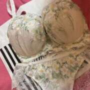 ヒメ日記 2025/12/29 13:42 投稿 ここ タレントCLUB