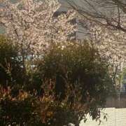 ヒメ日記 2026/04/04 21:30 投稿 ここ タレントCLUB