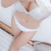 ヒメ日記 2025/04/09 18:29 投稿 ハル ファーストレディー