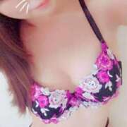 ヒメ日記 2025/04/09 20:19 投稿 ハル ファーストレディー